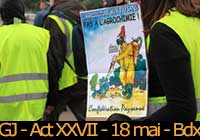 Marche contre Bayer Monsanto et Gilets jaunes - Acte XXVII - 18 mai 2019 à Bordeaux